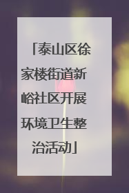 泰山区徐家楼街道新峪社区开展环境卫生整治活动
